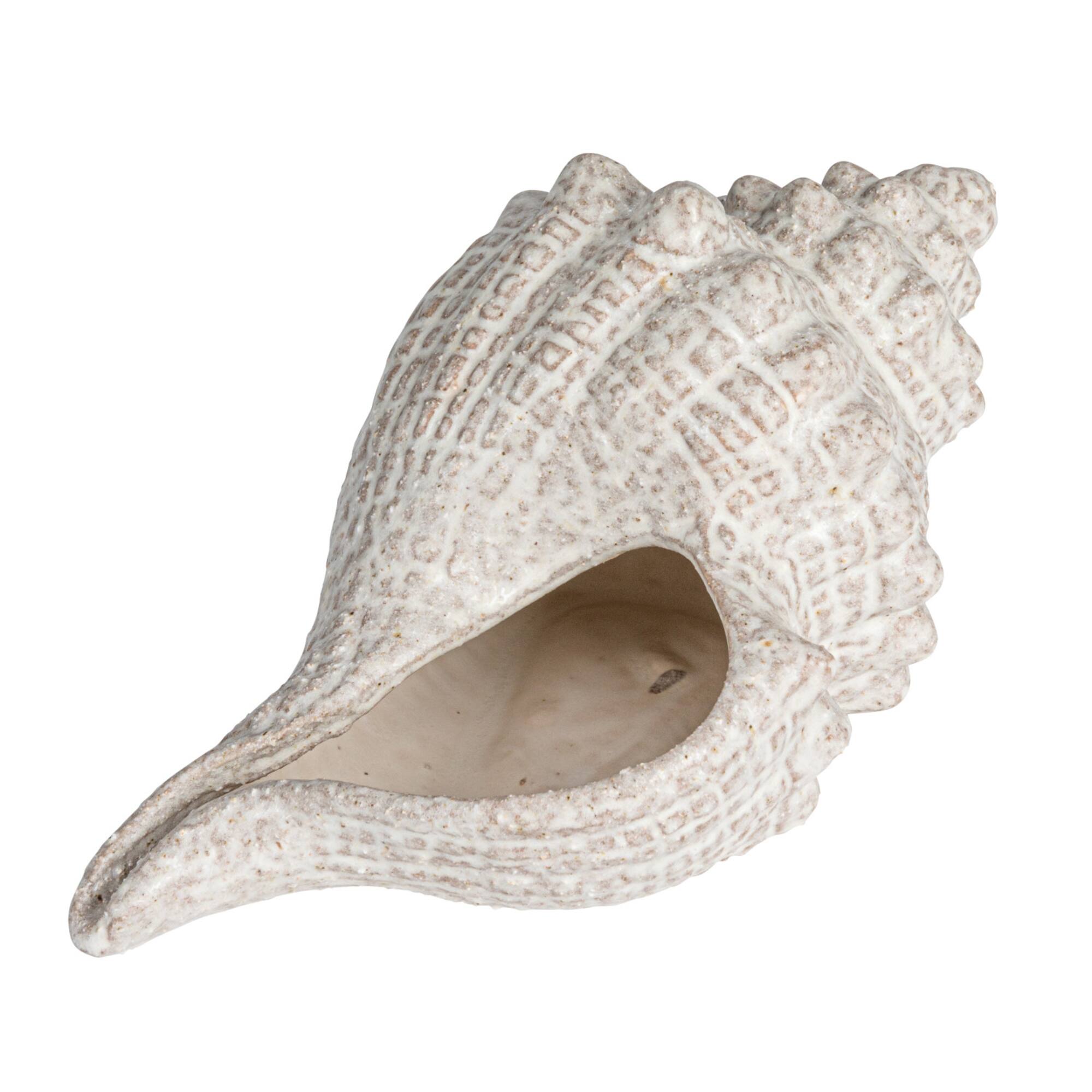 Hello Honey® 10.25" White Reactive Glaze Conch Shell Stoneware Tabletop Décor